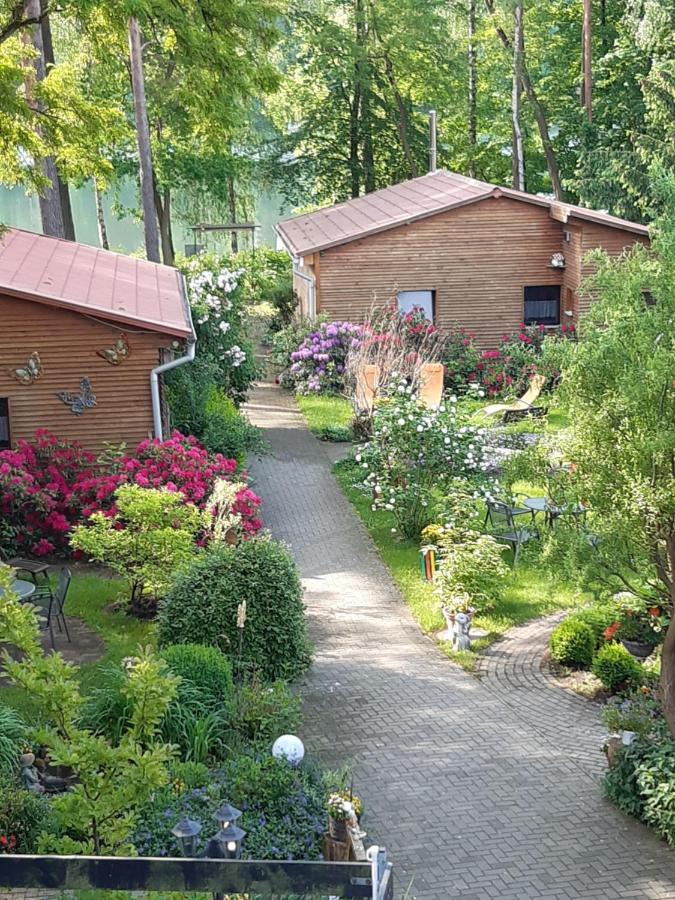 Monikas Gästehäuser Seeblick Himmelpfort Exteriör bild